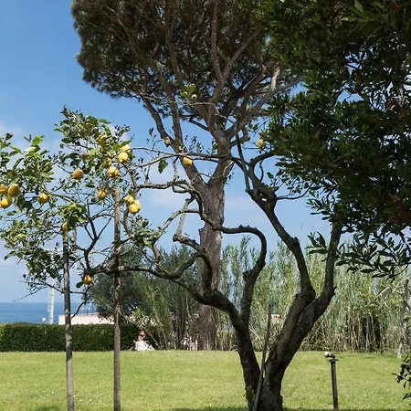 Holiday home Tre Pini Procida